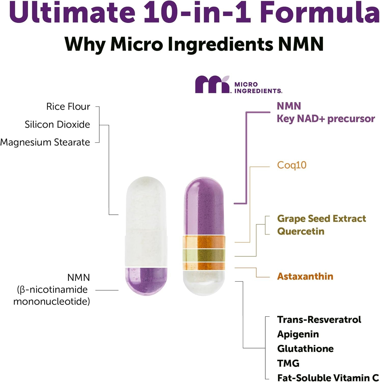 NMN Complex 1000Mg